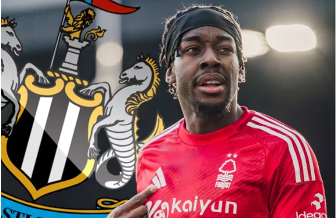 Newcastle Chuyển Nhượng Hè 2025: Cuộc Đua Giành Giấc Mơ Champions League